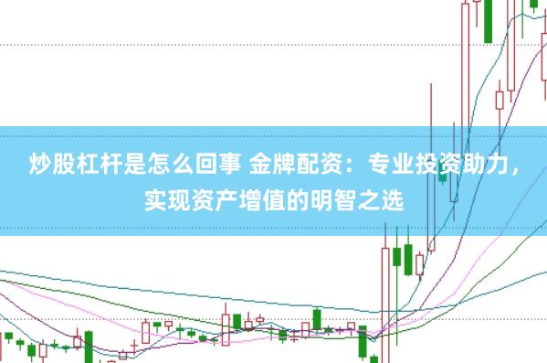 炒股杠杆是怎么回事 金牌配资：专业投资助力，实现资产增值的明智之选