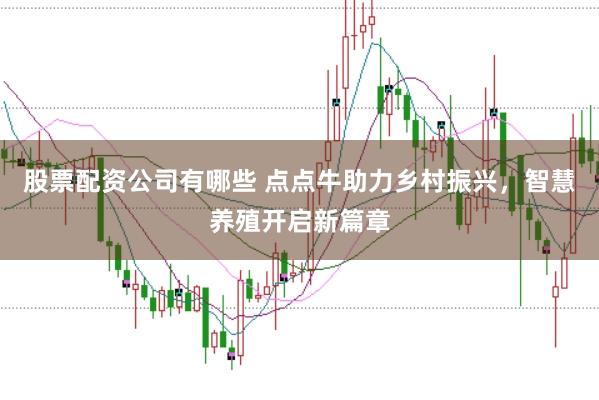 股票配资公司有哪些 点点牛助力乡村振兴，智慧养殖开启新篇章