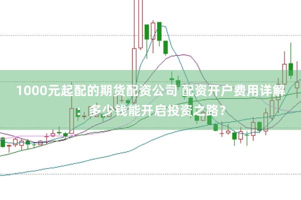 1000元起配的期货配资公司 配资开户费用详解：多少钱能开启投资之路？