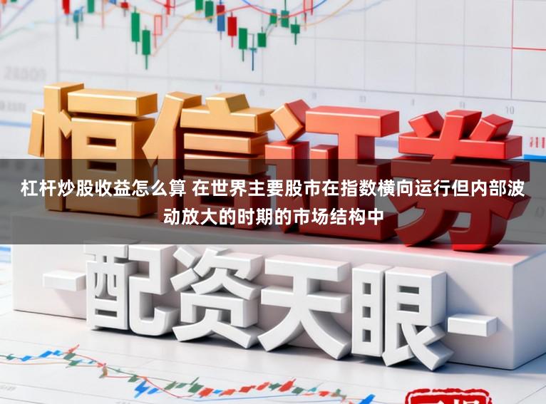 杠杆炒股收益怎么算 在世界主要股市在指数横向运行但内部波动放大的时期的市场结构中