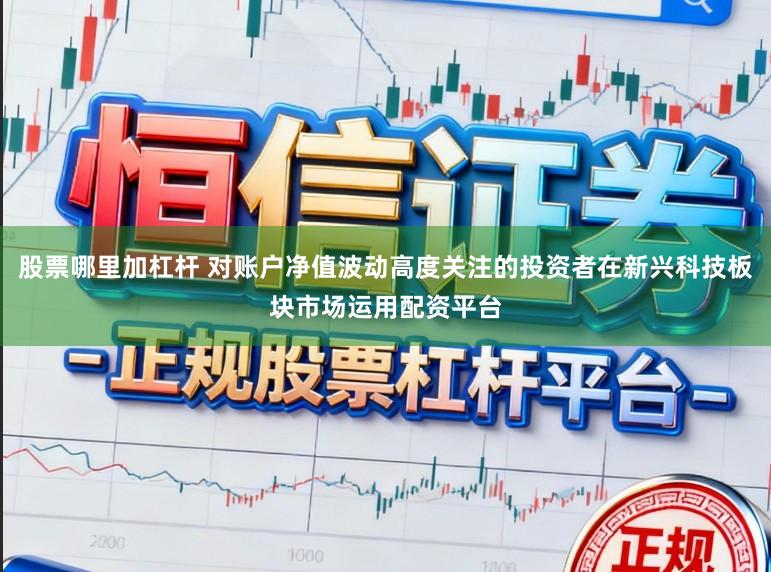 股票哪里加杠杆 对账户净值波动高度关注的投资者在新兴科技板块市场运用配资平台