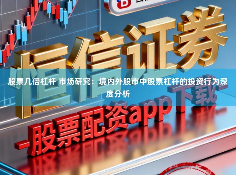 股票几倍杠杆 市场研究：境内外股市中股票杠杆的投资行为深度分析